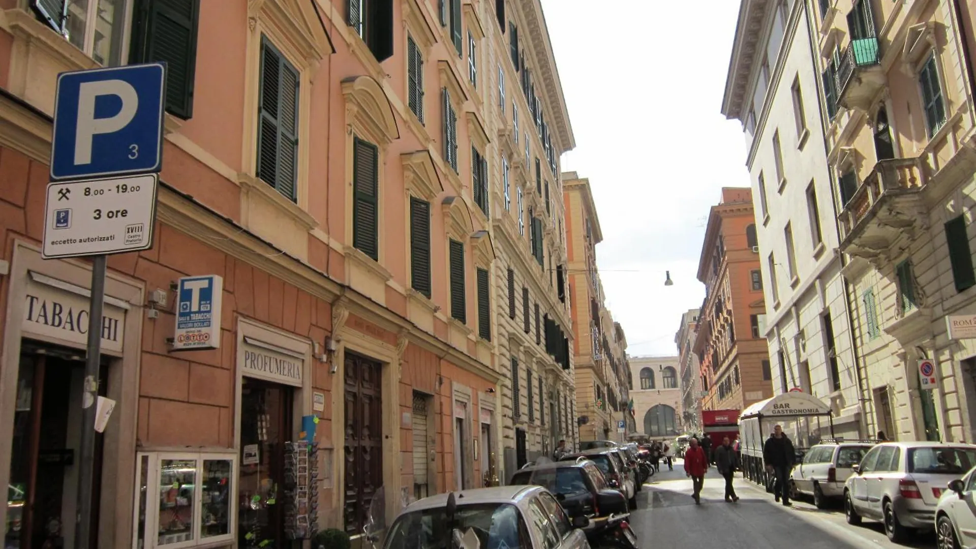 Evergreen Rome Italy